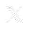 x icon